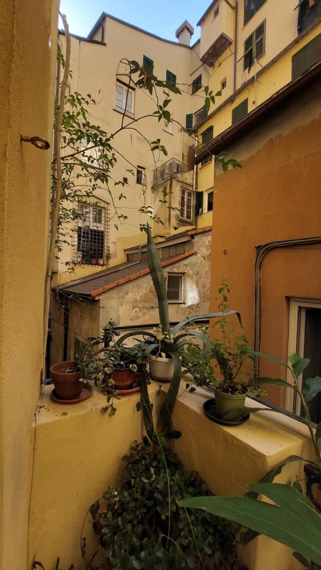 L'Angolo Verde In San Luca Genua Exteriör bild